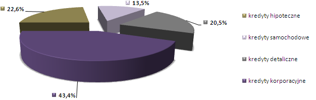 W strukturze udzielonych w 2013 roku nowych kredytów 99% stanowiły kredyty udzielone w złotych.