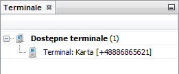 6. Terminale Jako terminale rozumiane są urządzenia GSM takie jak telefony komórkowe, terminale GSM bądź modemy GPRS (modem internetowy GPRS/EDGE/UMTS).