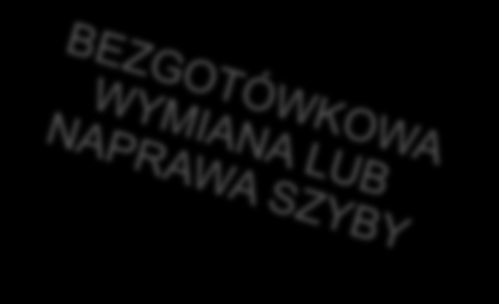 wszystkie szkody, które nie znalazły się w katalogu wyłączeń Zakres terytorialny Polska