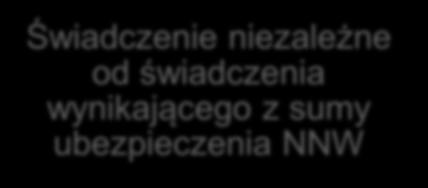 NNW Bezpieczna Rodzina Opcja dostępna jest w 3 wariantach sumy ubezpieczenia: 100 000zł za składkę 29