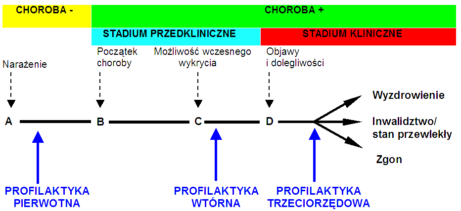 INGERENCJE