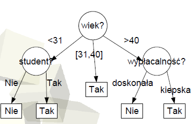 Drzewo decyzyjne Drzewa decyzyjne wyznaczają reguły, które pozwalają przypisać obiekty do określonych klas.