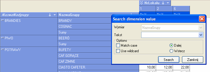Widoki OLAP wiersza wymiaru, który zawiera określoną wartość. Aby użyć narzędzia należy z menu kontekstowego wykorzystywanego wymiaru wybrać funkcję Wyszukaj.