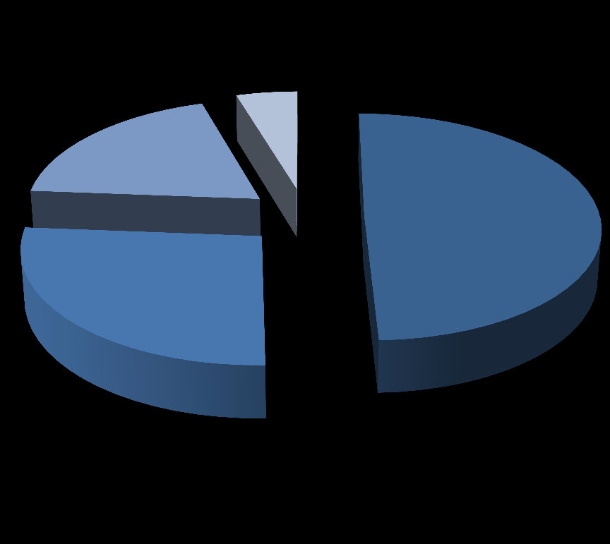 Wykonanie systemu ociepleń 65% 35% Wykonanie tynków 73% 27% Wykonanie wylewek podłogowych 73% 27% Wznoszenie ścian 76% 24% Przyklejanie płytek 76% 24% 0% 20% 40% 60% 80% 100% W miastach Na wsiach