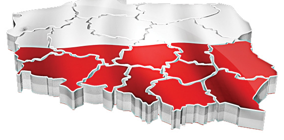 Polska Polska odgrywa ważną rolę w Europy. W 2012 roku odkryto największe w Europie złoża gazu łupkowego.