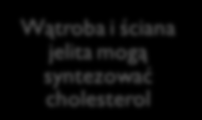 Lipidy i lipoproteiny Występuje tylko w tkankach zwierzęcych Cholesterol związek lipidowy zawierający pierścień sterolowy