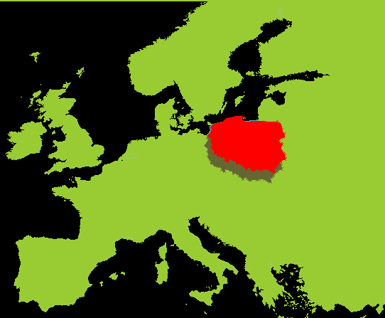 618% Population: 38 mln (adults: 28 mln) Poland 244% 100 75 50 25 0 71% Health care system