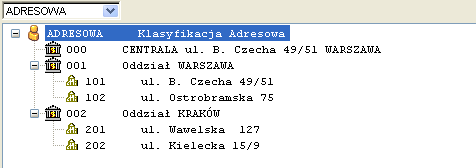 Klasyfikacja podstawowa zawiera 9 podstawowych grup w swym pierwszym poziomie, które następnie zawierają dwucyfrowe oznaczenie podgrup (drugi poziom) oraz trzycyfrowe oznaczenie rodzajów (trzeci