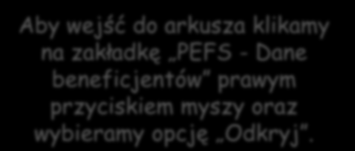 Po uzupełnieniu wszystkich danych sprawdzamy ich prawidłowość w arkuszu kalkulacyjnym MS Excel.