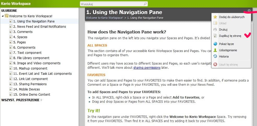 klienta WorkSpace. Bardzo przydatną funkcją jest możliwość duplikowania, czyli kopiowania całej strony.