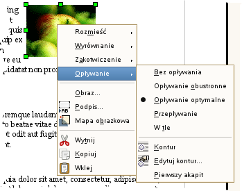 4-41 Do strony Zakotwicza obraz do danej strony. Bez względu na wszelkie modyfikacje tekstu, obraz pozostaje na stronie. Jako znak Przerywa przepływ tekstu w miejscu wstawienia obrazu.