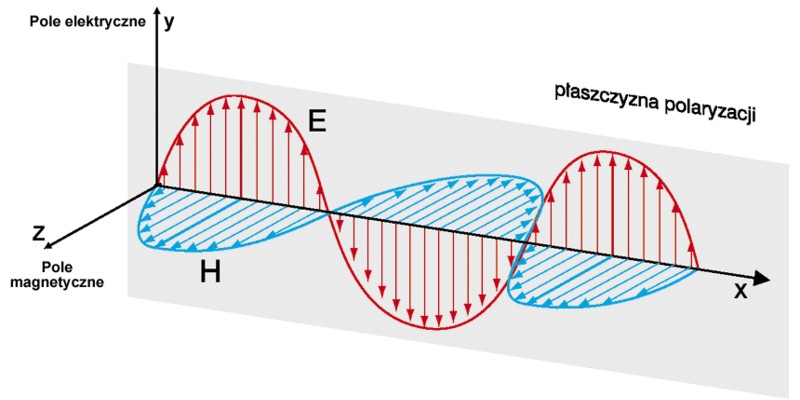 Promieniowane fale elektromagnetyczne mogą mieć polaryzację poziomą (horyzontalną), pionową (wertykalną), a także kołową i eliptyczną.