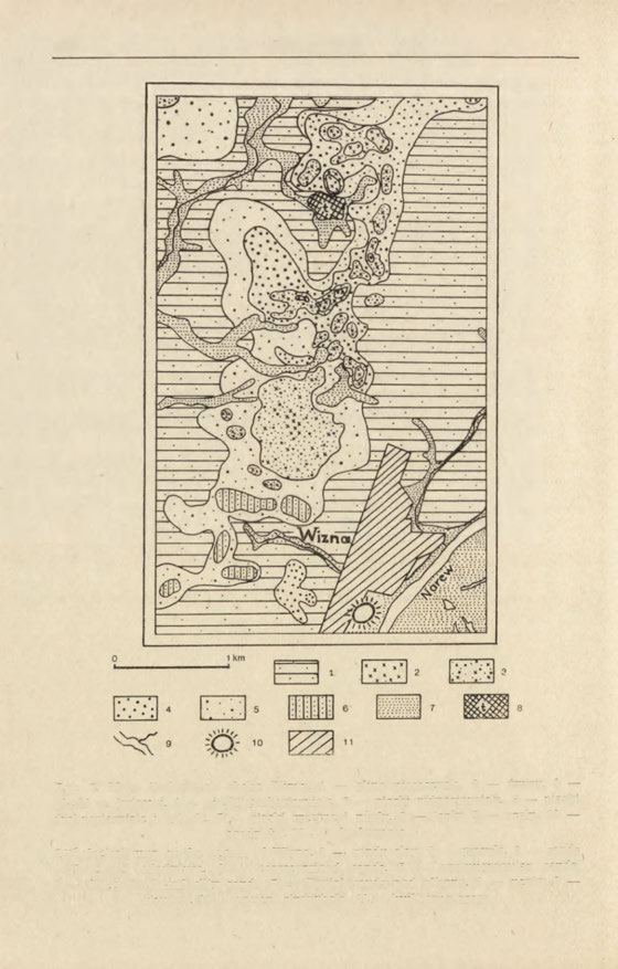 278 Andrzej Musiał Ryc. 2. Mapa litologiczna okolic Wizny.