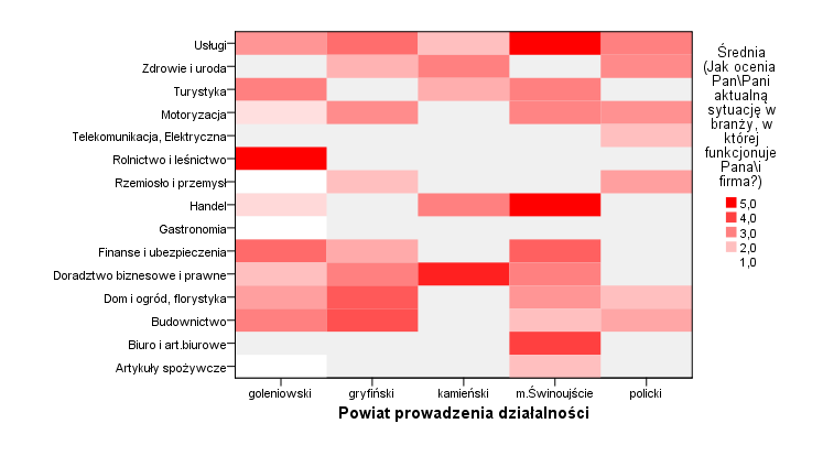 Sytuację najlepiej oceniali przedstawiciele firm zajmujących się usługami, handlem, artykułami biurowymi (m. Świnoujście) oraz doradztwem biznesowym i prawnym w powiatach goleniowskim i kamieńskim.