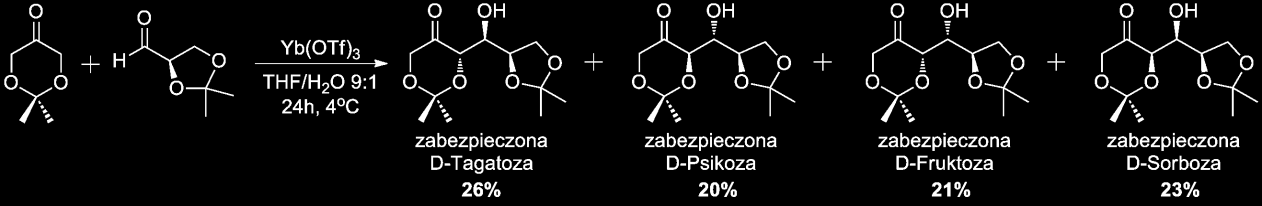 Asymetryczna synteza ketoheksoz z dihydroksyacetonu Grzegorz Łopatkiewicz prof. dr hab.