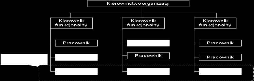 Rys. 64. Struktura projektowa zarządzania projektem. Struktura macierzowa (mieszana) (rys. 65) - połączenie struktury funkcjonalnej i projektowej. Podział według projektów na układ funkcjonalny.