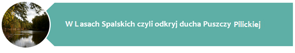 W ramach działań promocyjnych konieczne jest: opracowanie materiału informacyjnego (w wersji on-line) prezentującego zintegrowane możliwości w zakresie organizacji wydarzeń konferencyjnych,