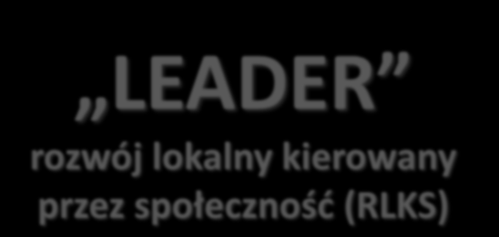 PROW 2014-2020 Premie na rozpoczęcie działalności gospodarczej KRYTERIA WYBORU SZCZEGÓLNIE PREFEROWANE OPERACJE: o charakterze innowacyjnym; realizowane przez osoby będące