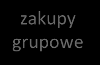 Program Samorządowa Polska zaangażowanie Gminy GMINA współwłaściciel 4 000 zł 50 000 zł Lokalny Fundusz