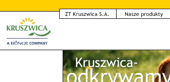 czytelności. W tym przypadku należałoby usunąć większość informacji pozostawiając jedynie samo logo oraz napis Zakłady Tworzyw Sztucznych.