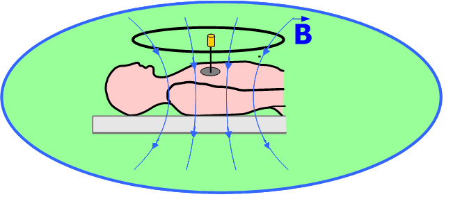 MAGNETIC FLUID HYPERTHERMIA FOR CANCER THERAPY Arkadiusz Miaskowski 1, Andrzej Krawczyk 1 University of Life Sciences in Lublin, Department of Applied Mathematics and Computer Science, Czestochowa