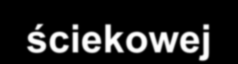 Zalety układania kabli w kanalizacji ściekowej bardziej ekonomiczne rozwiązanie eliminacja wszelkich prac ziemnych (wykluczając przyłącza do domów i połączenia krzyżowe) mniejszy hałas