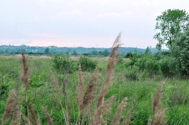 ŚRODOWISKO PRZYRODNICZE MIASTA PRUSZCZ GDAOSKI Ryc. 5. Naturalna granica Pojezierza Kaszubskiego i Żuław Wiślanych Autor: Anna Bernaciak. Pruszcz Gdaoski stanowi integralną częśd tzw.