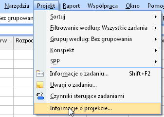 Ustawienia tego dokonujemy w menu Projekt Informacje o projekcie.