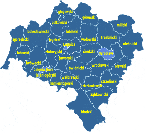 Strona 9 Ponadto odległość z Dobroszyc do najbliższych, większych drogowych przejść granicznych wynosi: Czechy (Golińsk) 125 km; Niemcy (Jędrzychowice) 200 km; Słowacja (Zwardoń) 290 km; Rosja