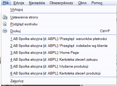 3. Pozycje menu - Plik wyloguj przelogowanie - ustawienia strony do wydruku dla przeglądów - podgląd wydruku i wydruk dla przeglądów / tutaj lub w samych przeglądach - historia 6 ostatnich wywołao