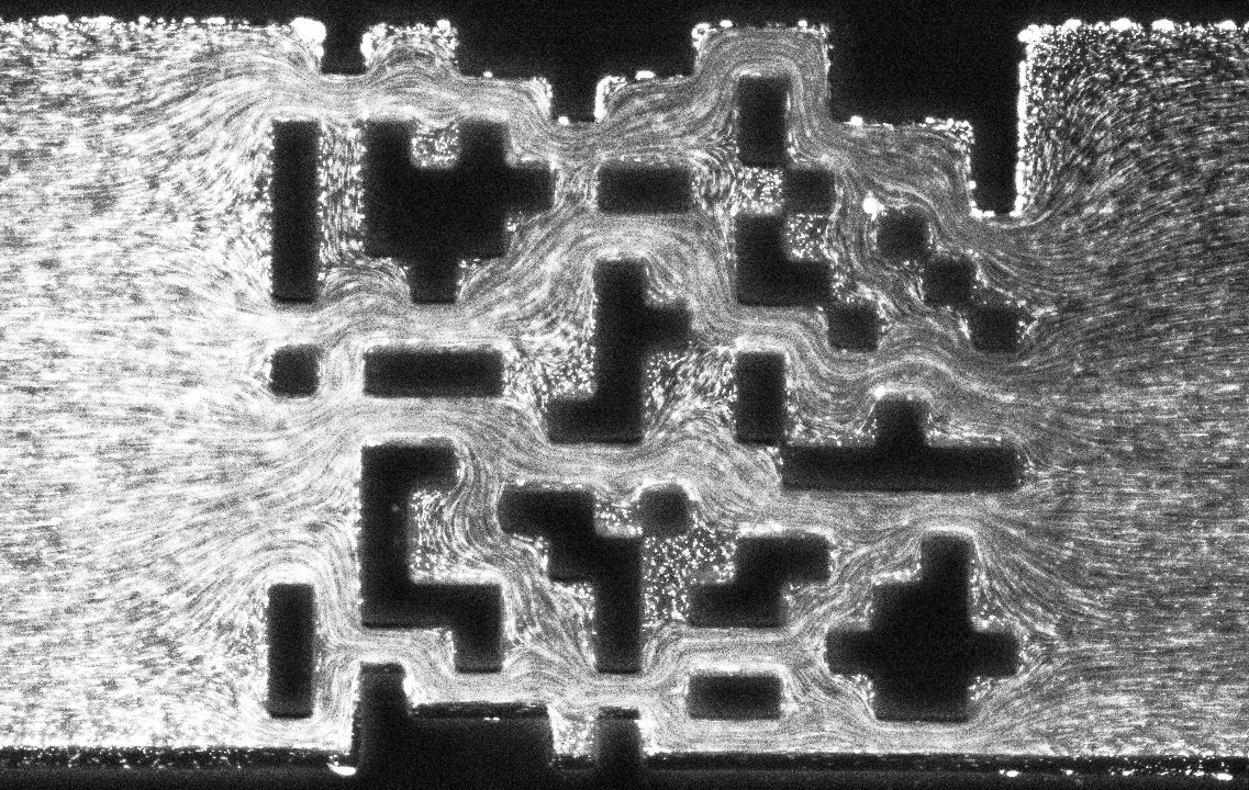 ROZDZIAŁ 4. POPRAWNOŚĆ IMPLEMENTACJI 4.2 Porównanie z doświadczeniem Na początku 2010 r. grupa badawcza z Mathematical Modeling Group z Max Planck Institute for Marine Microbiology pod kierunkiem A.