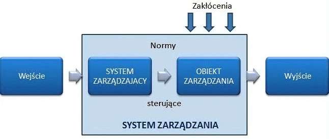 System zarządzania środowiskiem - zamierzony, uporządkowany