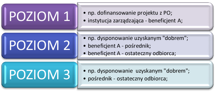 decyzji KE z 2006 roku N 617/2005 Włochy, Centra Technologiczne. Rys. 13. Poziomy występowania pomocy publicznej.