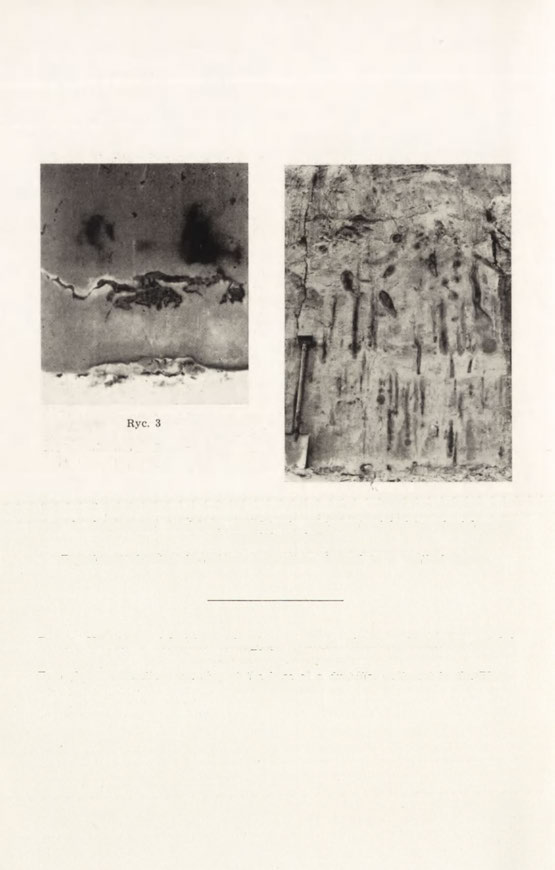 Rye. 4 Rye. 3. Eksperyment modelowy przedstawia wytrącenia żelaziste, ukształtowane w szczelinie poziomej. Experiment showing ferruginous concretions formed in a vertical fissure.