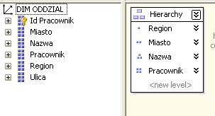 System gromadzenia i analizy danych korporacyjnych z wykorzystaniem 487 przez kadrę zarządzającą i analityków.