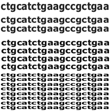 PCR