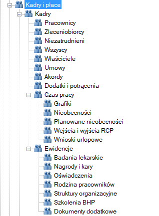 Kadry Podział list w obrębie modułu Kadry umożliwia użytkownikowi sprawne poruszanie się po programie w ramach realizacji zagadnień kadrowych.