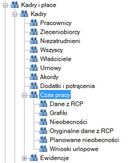 Kadry / Czas pracy W gałęzi Kadry / Czas pracy są dostępne następujące listy: Dane z RCP (od wersji platynowej) Grafiki (od wersji złotej programu) Nieobecności (od