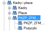 PKZP,ZFM,... Podział list w obrębie modułu PKZP,ZFM,.