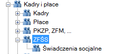 ZFŚS - Zakładowy Fundusz Świadczeń Socjalnych Lista dostępna wyłącznie w wersji platynowej