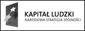 ZESZYTY NAUKOWE UNIWERSYTETU SZCZECIŃSKIEGO NR 794 EKONOMICZNE PROBLEMY USŁUG NR 108 2013 Artykuł współfinansowany przez Unię Europejską ze środków Europejskiego Funduszu Społecznego KAROLINA