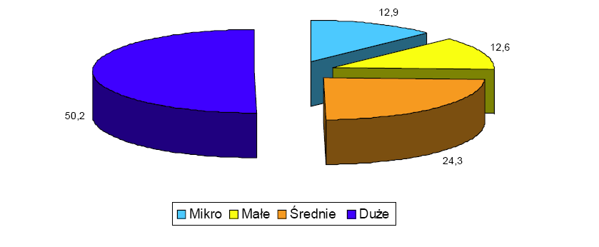 Rys. 64. Udział przedsiębiorstw według klas wielkości w nakładach inwestycyjnych przedsiębiorstw ogółem w 2004 r. Źródło: Konkurencyjność małych i średnich przedsiębiorstw w 2006 roku.