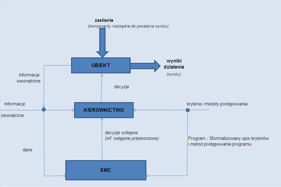 Sformalizowany opis kryteriów i metod postępowania - PROGRAM Rys.1.9. System Zarządzania z użyciem komputera (metod i środków informatyki).