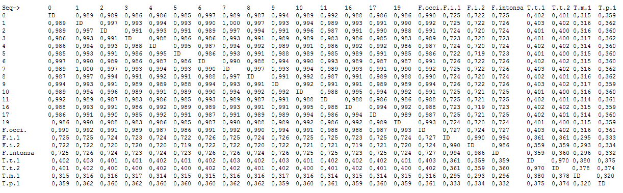 18S-ITS1-5,8S-ITS2-28S rdna (wielkość produktu ok.