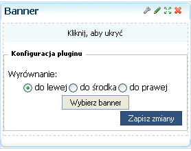 Wybrane produkty prezentowane są w koszyku w postaci listy. Pierwszy element listy (ostatnio dodany towar) wyświetlany jest wraz elementem graficzny.