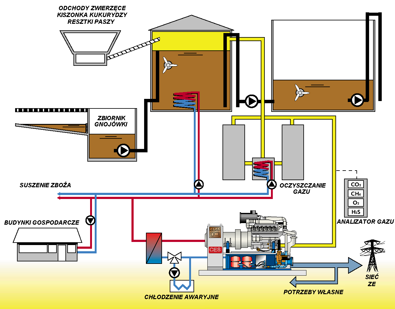 Schemat budowy biogazowni Źródło: