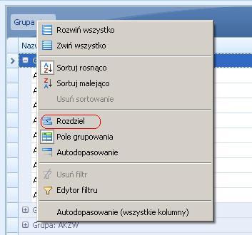 Zaznaczanie i odznaczanie instrumentów Każdy z instrumentów znajdujących się w używanych tabelach można zaznaczać błękitnym kolorem