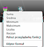 Korzystanie z gotowych, szybkich formuł Łatwym sposobem wykonywania podstawowych obliczeń przy użyciu wartości z sąsiednich komórek jest zaznaczenie komórki i dodanie szybkiej formuły za pomocą menu