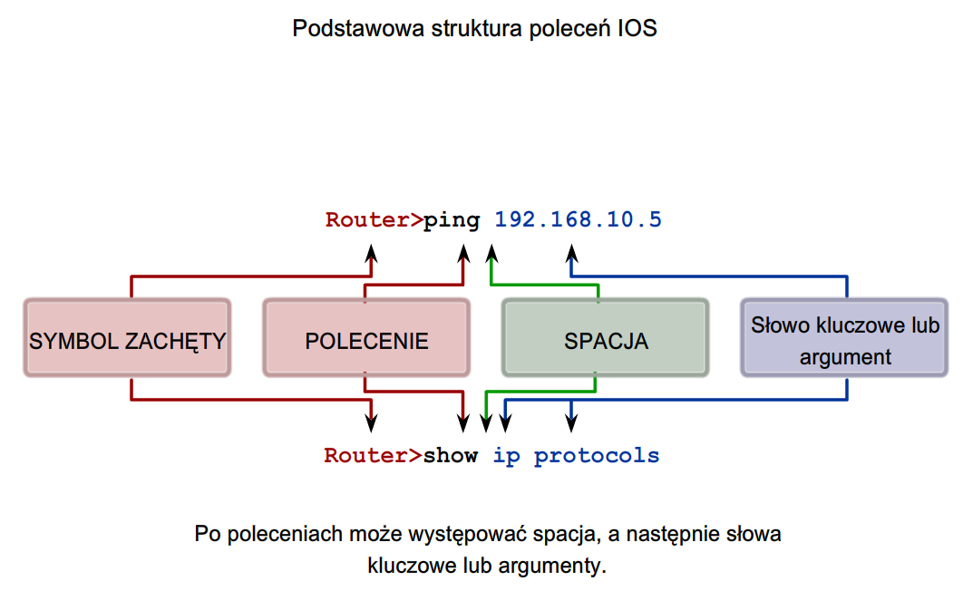 Podstawowa