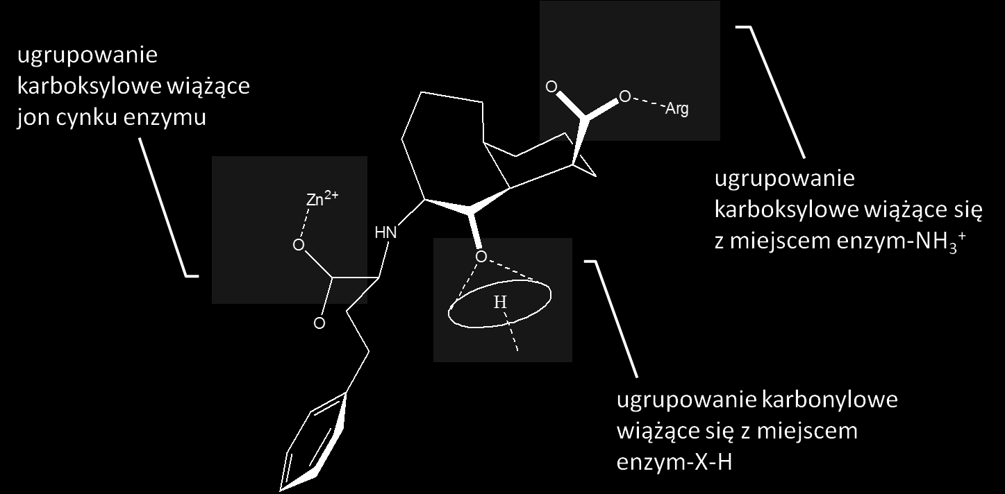 Rozdział 2. Nadciśnienie tętnicze i inhibitory konwertazy angiotensyny 2.4.5 Cilazapril Cilazapril jest związkiem, którego trwałość chemiczną oceniono w niniejszej pracy.